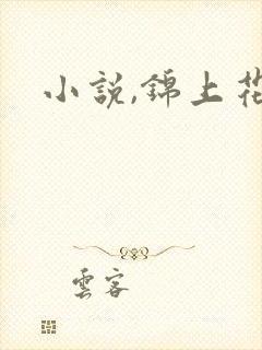 小说,锦上花