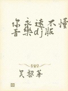 你永远不懂我纯音乐dj版