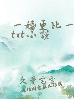 一婚更比一婚高txt小说