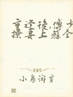 重逢后,傅少他撩妻上瘾全文