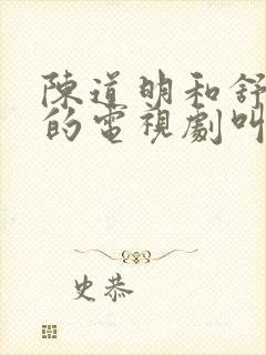 陈道明和舒淇演的电视剧叫什么名字