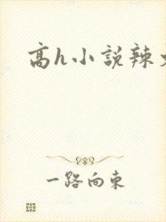 高h小说辣文
