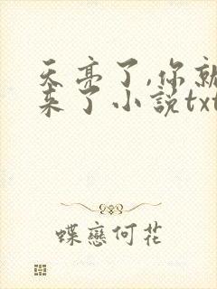 天亮了,你就回来了小说txt下载