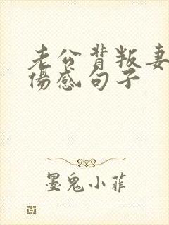 老公背叛妻子的伤感句子