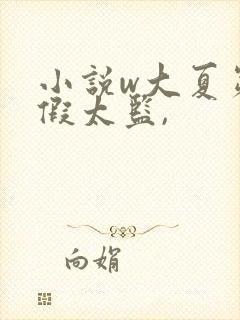小说w大夏第一假太监,