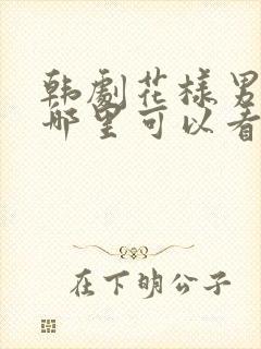 韩剧花样男子在哪里可以看