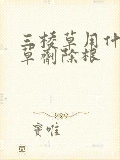 三棱草用什么除草剂除根