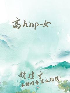 高hnp女