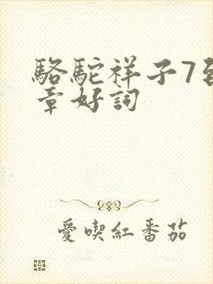 骆驼祥子7到9章好词