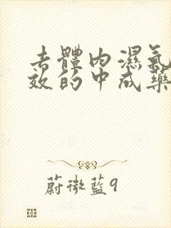 去体内湿气最有效的中成药