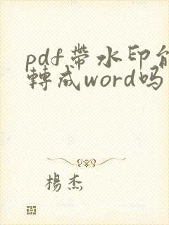 pdf带水印能转成word吗