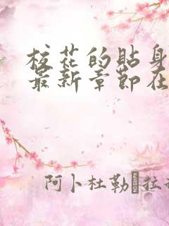 校花的贴身高手最新章节在线