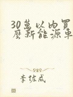 30万以内买什么新能源车好