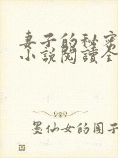 妻子的秘密吴双小说阅读全文
