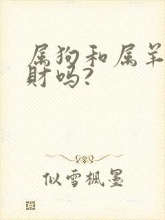属狗和属羊的合财吗?