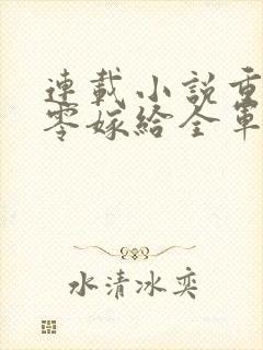 连载小说重生八零嫁给全军第一硬汉