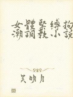 女体紧缚拘束高潮调教小说