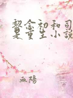 黎念初和司慕城是重生小说