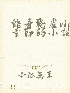 能看飞卢vip章节的小说