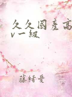 久久国产高清av一级