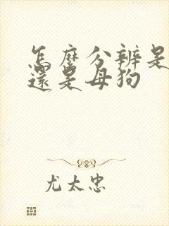 怎么分辨是公狗还是母狗