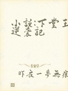 小说:下堂王妃逆袭记