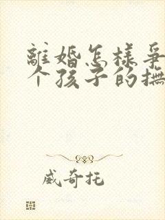离婚怎样争取两个孩子的抚养权