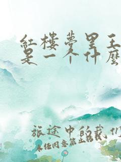 红楼梦里王熙凤是一个什么样的人