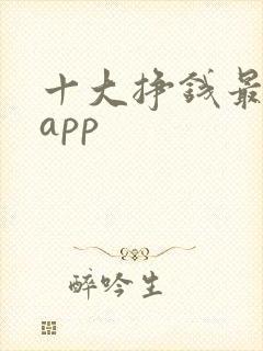 十大挣钱最快的app
