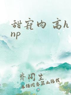 甜宠肉 高h np