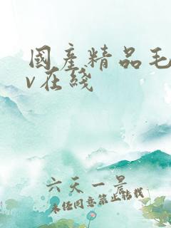 国产精品毛片av在线