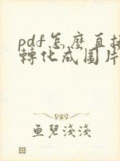 pdf怎么直接转化成图片