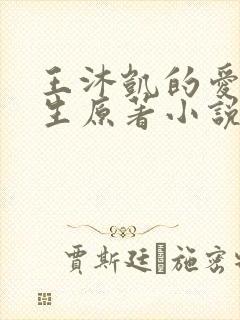 王沐凯的爱与新生原著小说
