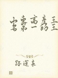 山东高产玉米排名第一的玉米品种