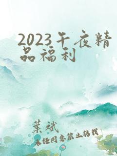 2023午夜精品福利