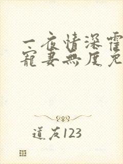 一夜情深霍先生宠妻无度免费