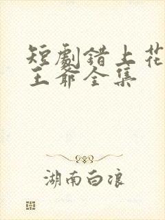 短剧错上花轿嫁王爷全集