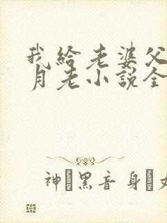 我给老婆父亲当月老小说全文阅读