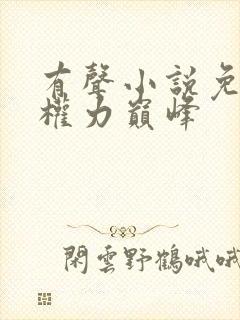 有声小说免费听权力巅峰