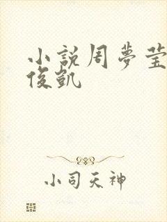 小说周梦莹与王俊凯