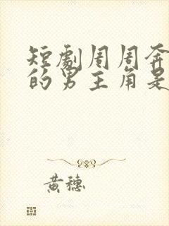 短剧周周奔赴你的男主角是谁