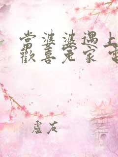 当婆婆遇上妈之欢喜冤家 电视剧