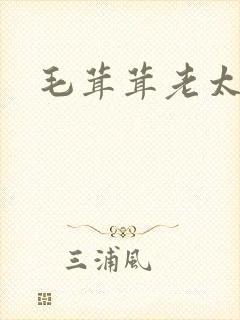 毛茸茸老太