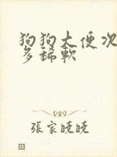 狗狗大便次数增多稀软