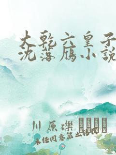 大乾六皇子云铮沈落雁小说