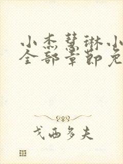 小杰慧琳小阿姨全部章节免费阅读