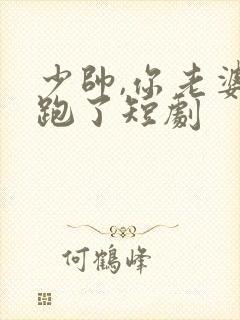 少帅,你老婆又跑了短剧