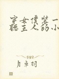 穿女仆装一切都听主人的小说