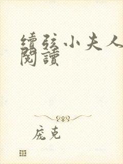 续弦小夫人在线阅读