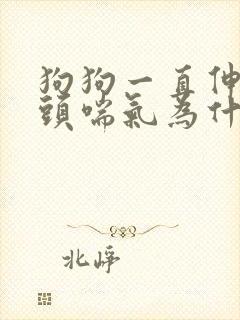 狗狗一直伸着舌头喘气为什么